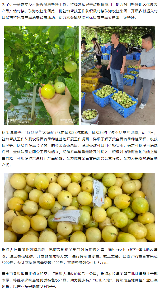 千亿（中国）集团助力产销对接 对口帮扶果香飘百里.png